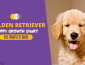 Golden Retriever Growth Chart and Puppy Weight Guide