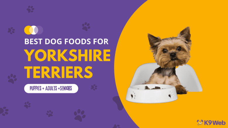 Best Dog Food for Yorkie Review