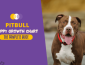 Pitbull Growth & Weight Chart (Male & Female): The Complete Guide